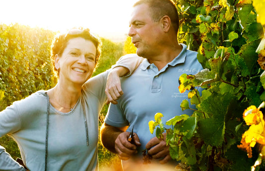 Winzerweinprobe Weingut Triebaumer - Rust - Burgenland - Weinprobe aus 1. Hand am 04.06.2026 im Rahmen des 2. Menzinga Winzerfests