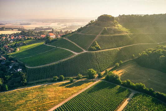 Winzerabend Fürstlich Castell’sches Domänenamt - VDP Weingut Weinverkostung aus 1. Hand in München 27.02.2026