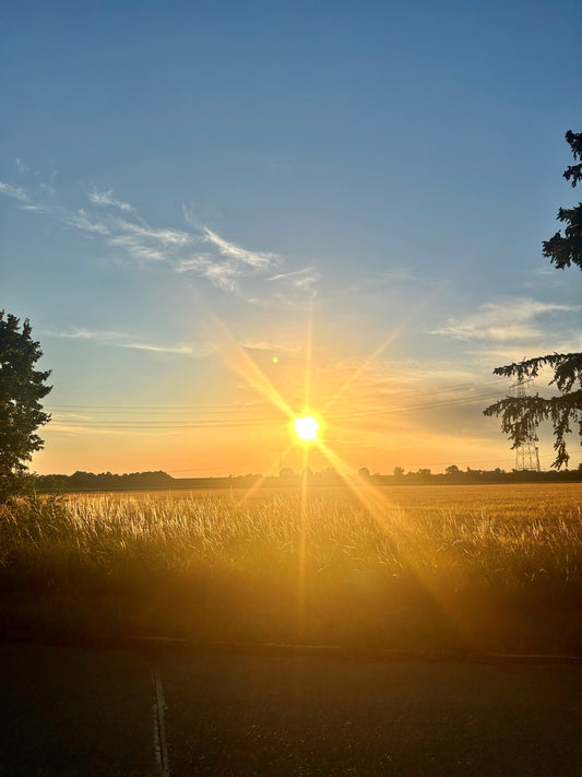 Ursprung im Glas – Der Menzinger Naturweinabend